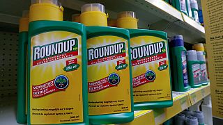 Monsanto found responsible for cancer case by US court