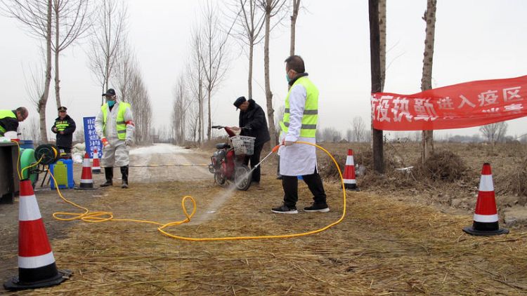Piles of pigs: Swine fever outbreaks go unreported in rural China
