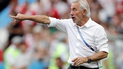 Emirati: via Zaccheroni, Van Marwijk ct Emirati: via Zaccheroni, Van Marwijk ct