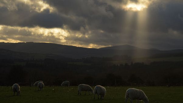 Ireland promises 'substantial' aid to farmers in no-deal Brexit Ireland promises 'substantial' aid to farmers in no-deal Brexit