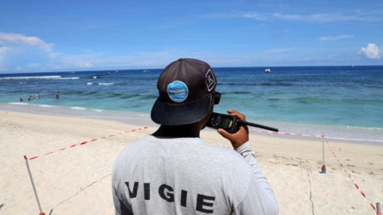 A La Réunion, les surfeurs reprennent les vagues, malgré les requins