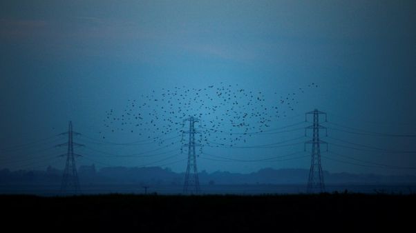 No-deal Brexit wouldn't disrupt gas, power flows from Europe - UK National Grid No-deal Brexit wouldn't disrupt gas, power flows from Europe - UK National Grid