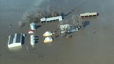 After devastating floods, U.S. Midwest farms need more than 'paper towels' to recover After devastating floods, U.S. Midwest farms need more than 'paper towels' to recover