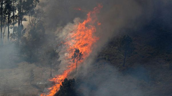 Wildfires blaze across unseasonably hot, dry Portugal Wildfires blaze across unseasonably hot, dry Portugal