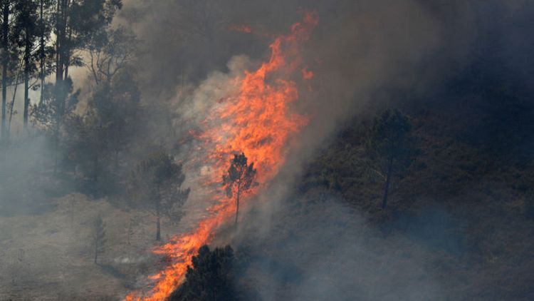 Wildfires blaze across unseasonably hot, dry Portugal