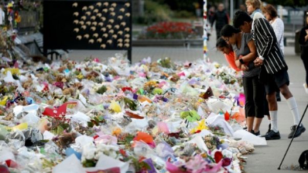 Nouvelle-Zélande: le durcissement de la loi sur les armes voté en première lecture Nouvelle-Zélande: le durcissement de la loi sur les armes voté en première lecture