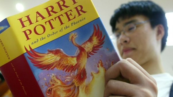 La saga des Harry Potter, un succès international. La saga des Harry Potter, un succès international.