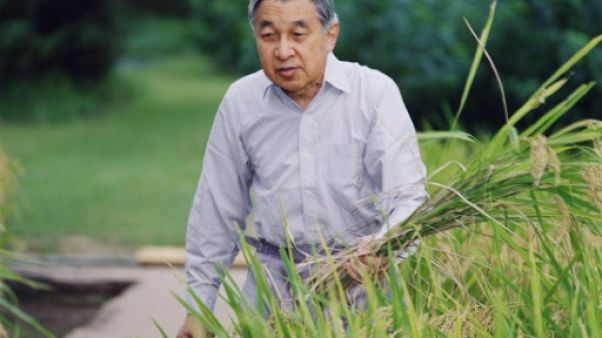 Les empereurs japonais, du statut divin au rôle symbolique Les empereurs japonais, du statut divin au rôle symbolique