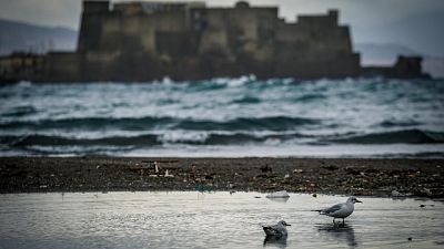 Allerta meteo, pioggia e vento al sud Allerta meteo, pioggia e vento al sud