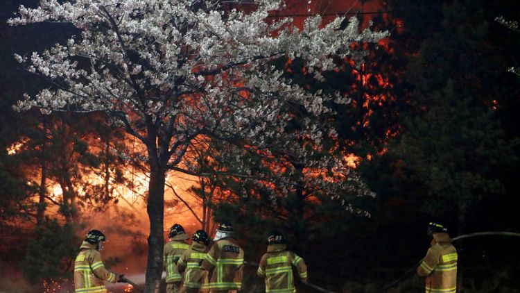 Thousands flee wildfire in South Korea's eastern coast, one dead - Yonhap