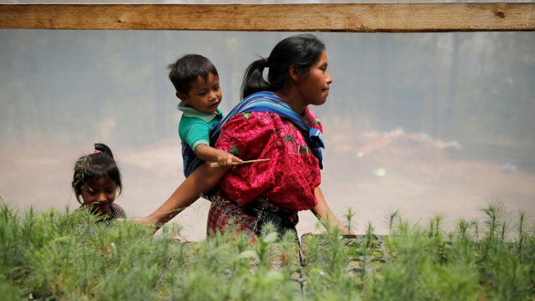 U.S. aid helped Guatemalan farmers stay rooted to their lands