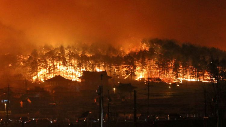 بدء جهود لاحتواء حرائق الغابات في كوريا الجنوبية وإجلاء الآلاف