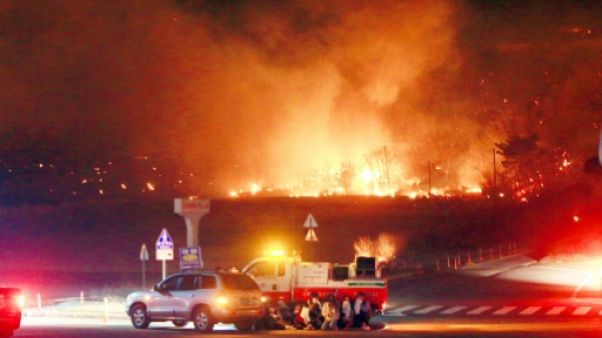 La Corée du Sud en proie à de gigantesques feux de forêts La Corée du Sud en proie à de gigantesques feux de forêts