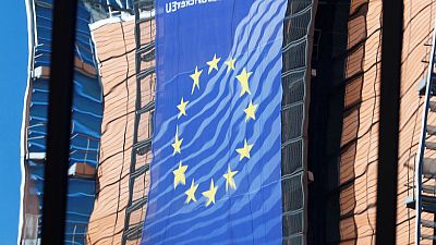 EU executive recommendations to guide future euro zone budget EU executive recommendations to guide future euro zone budget