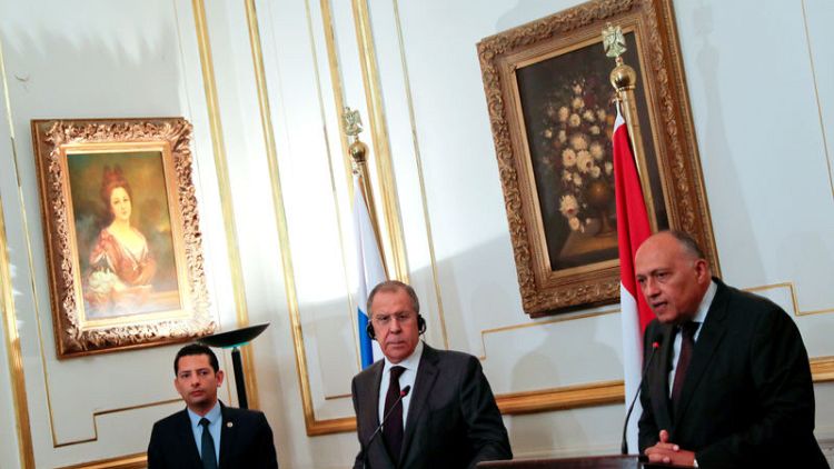 وزير الخارجية المصري: الأزمة في ليبيا لن تحل بالوسائل العسكرية