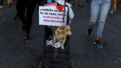 Independent march in Havana believed first for communist-run Cuba, organisers say Independent march in Havana believed first for communist-run Cuba, organisers say