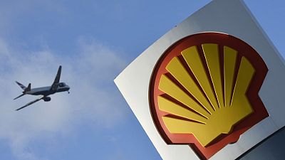 Shell starts to offset some drivers' carbon with new trees