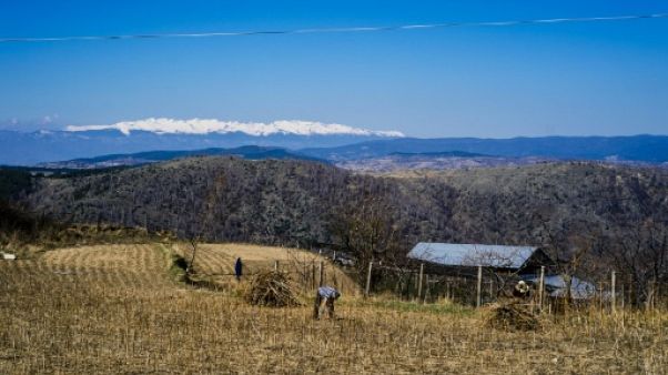 Une famille de Brachten, en Bulgarie, travaille au champ le 23 Mars 2019. Une famille de Brachten, en Bulgarie, travaille au champ le 23 Mars 2019.