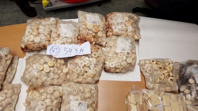Singapore makes second huge seizure of pangolin scales in days