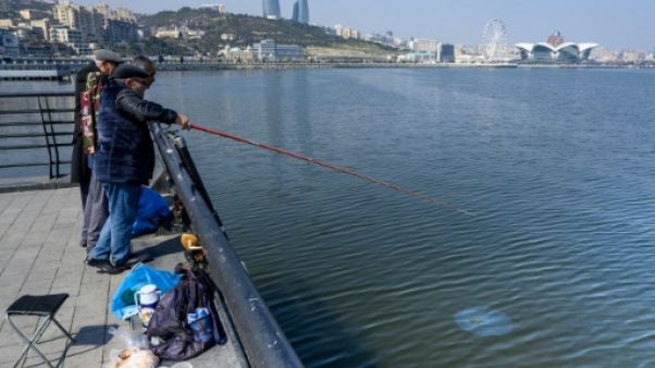Phoques, caviar et pétrole: la mer Caspienne menacée par la pollution Phoques, caviar et pétrole: la mer Caspienne menacée par la pollution