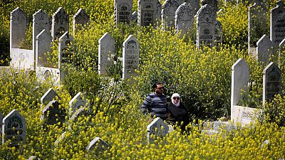 Flowers bloom in war-torn Syria's battered cities Flowers bloom in war-torn Syria's battered cities
