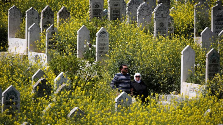 Flowers bloom in war-torn Syria's battered cities