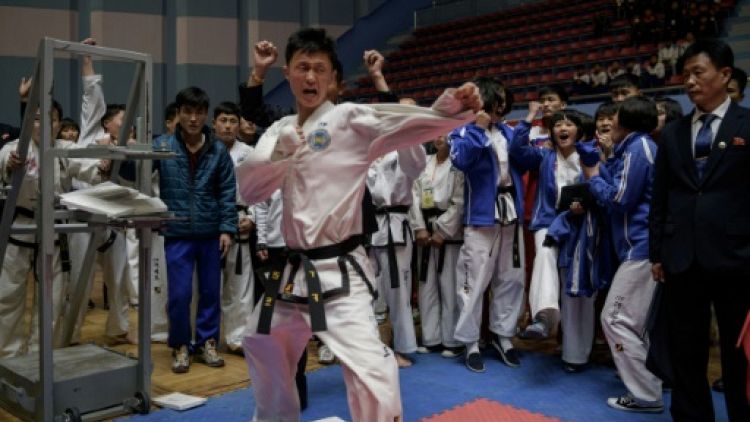Massacre de planches au concours de taekwondo de Pyongyang