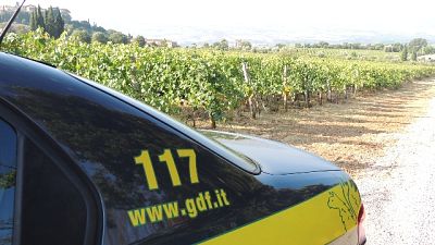Cantina Montalcino dichiara falso su uve
