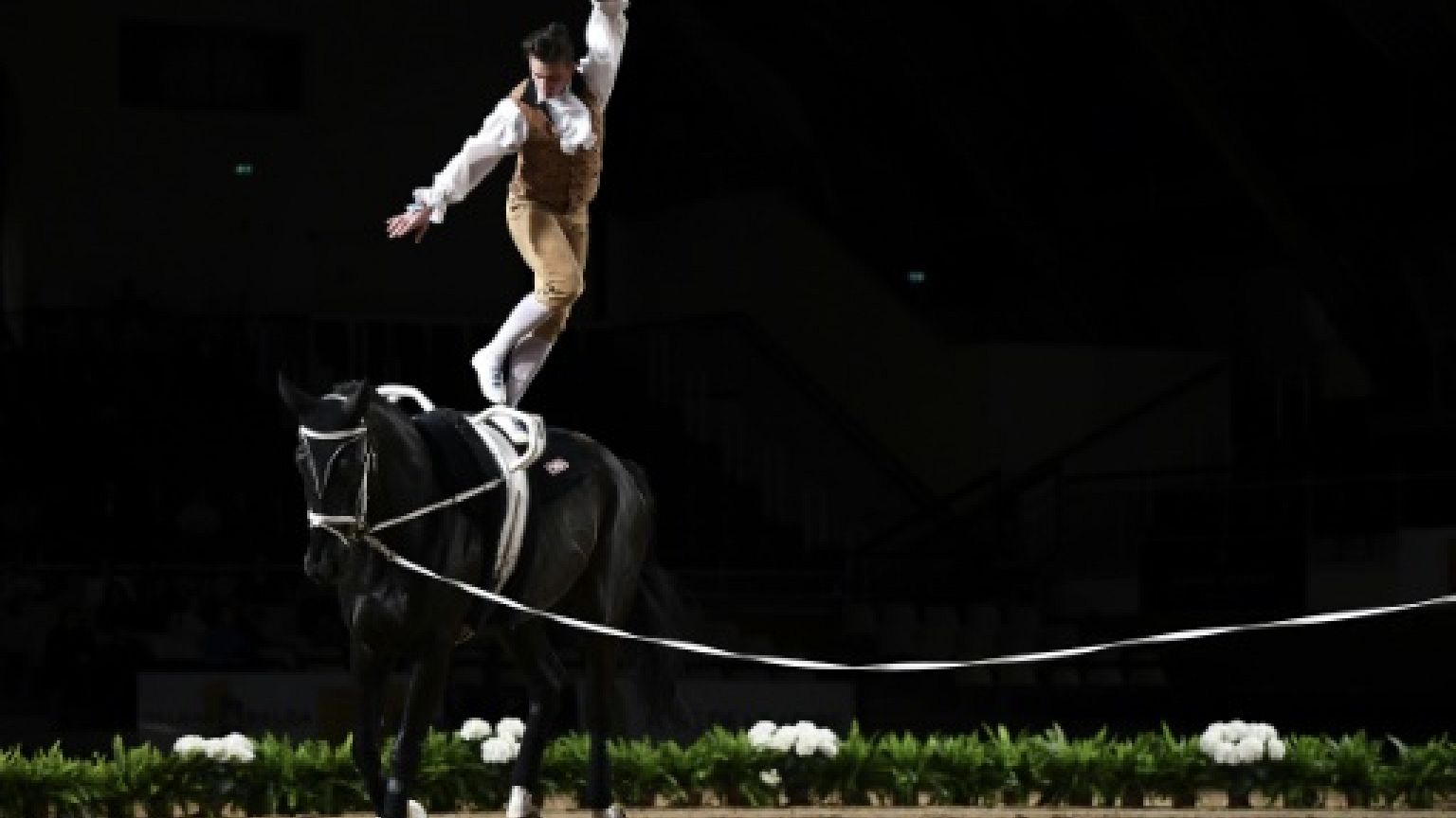 Equitation: la voltige entre dans la danse
