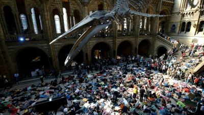 Inaction climatique: "die-in" d'Extinction Rebellion dans un musée londonien