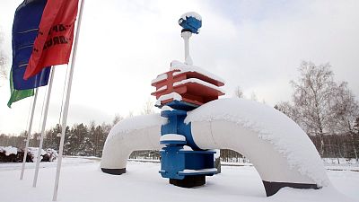 Germany, Poland, Slovakia halt oil imports via Russian pipeline over quality concerns Germany, Poland, Slovakia halt oil imports via Russian pipeline over quality concerns