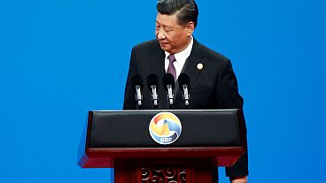 رئيس الصين: مبادرة الحزام والطريق يجب أن تحمي البيئة وتكون قابلة للبقاء