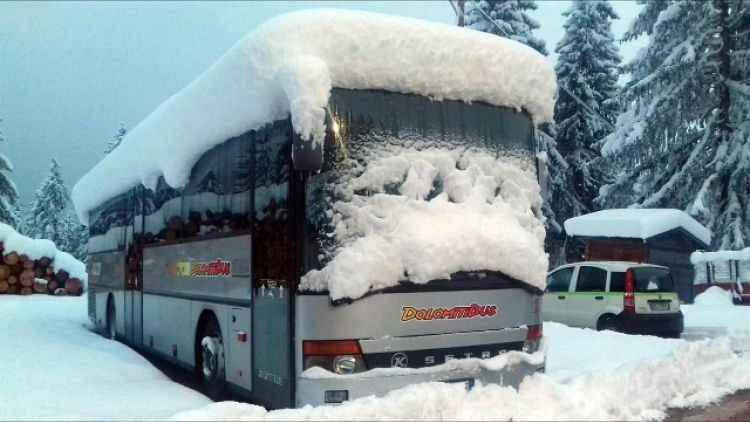 Fino a 80 cm neve fresca Dolomiti venete