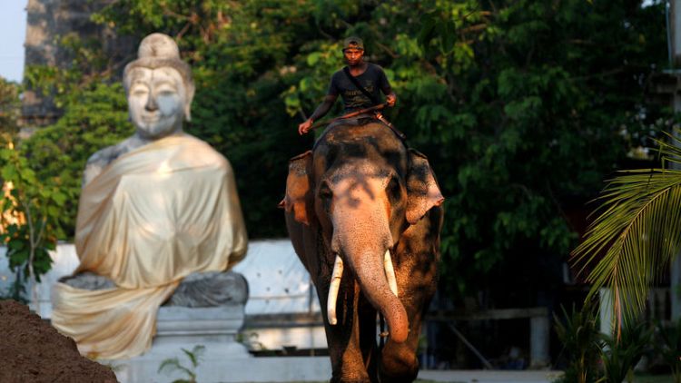 In Thailand, a white elephant fit for a new king