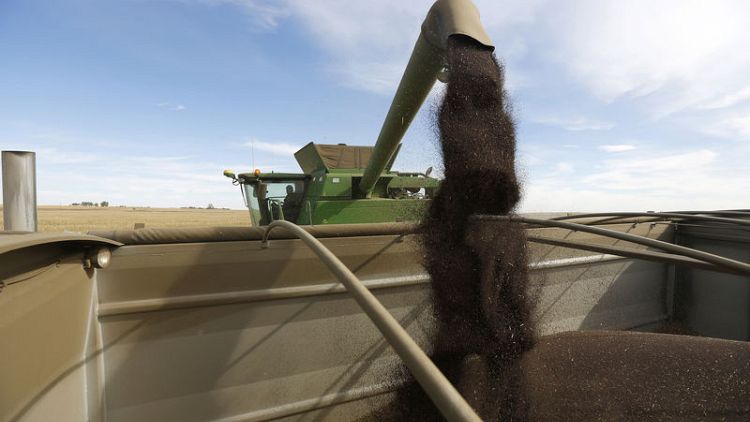 Canada unveils measures to help canola farmers hit by China ban, seeks to boost Asian exports