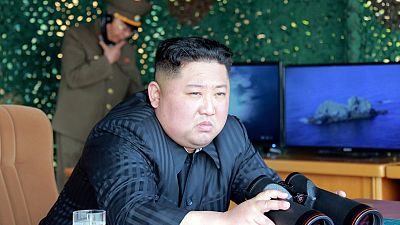 North Korean leader Kim oversaw testing of multiple rocket launchers - KCNA North Korean leader Kim oversaw testing of multiple rocket launchers - KCNA