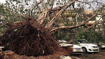 India cyclone kills at least 33, hundreds of thousands homeless India cyclone kills at least 33, hundreds of thousands homeless