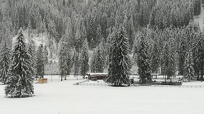 Veneto,neve e vento,colpo coda inverno Veneto,neve e vento,colpo coda inverno