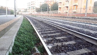 Treno urta albero su binari a Mantova Treno urta albero su binari a Mantova