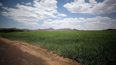 As elections loom, South Africans call for faster land reform As elections loom, South Africans call for faster land reform