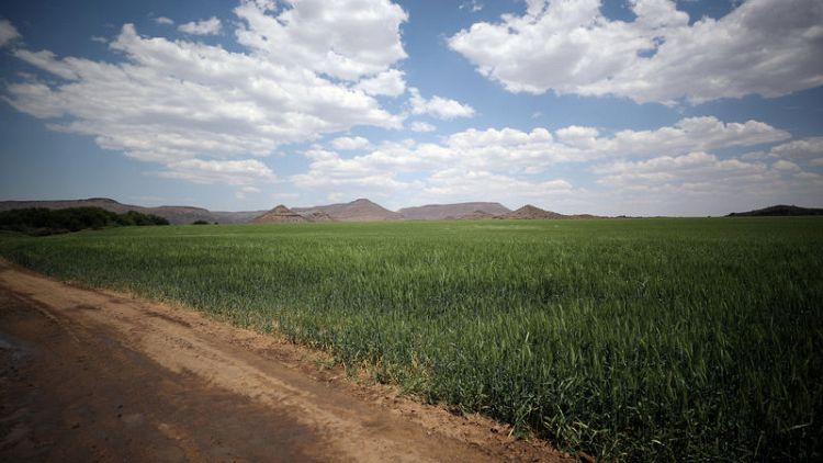 As elections loom, South Africans call for faster land reform