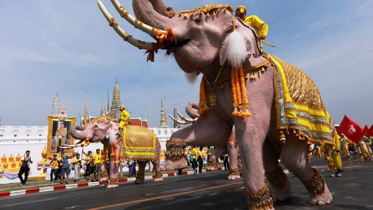 Elephants march in Thailand to pay respects to newly crowned king