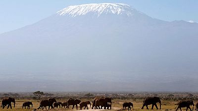 Tanzania plans cable car for Mount Kilimanjaro Tanzania plans cable car for Mount Kilimanjaro