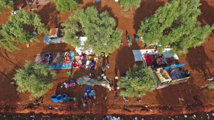 En Syrie, les oliveraies comme refuge pour les déplacés d'Idleb