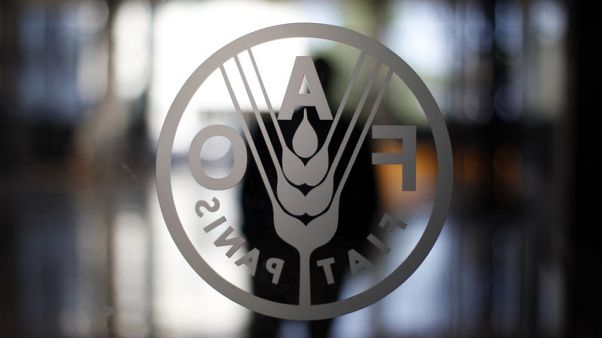 فاو: أسعار الغذاء العالمية ترتفع في أبريل وتوقع زيادة إنتاج الحبوب فاو: أسعار الغذاء العالمية ترتفع في أبريل وتوقع زيادة إنتاج الحبوب