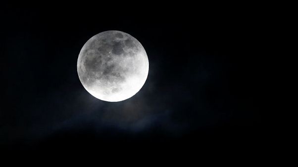 الزلازل تكشف أن باطن القمر نشط تكتونيا الزلازل تكشف أن باطن القمر نشط تكتونيا