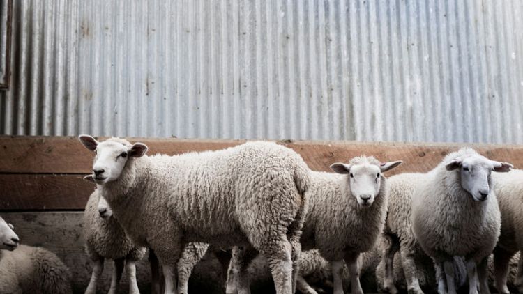 Omega lambs and fitbit cows: New Zealand responds to alternative protein threat