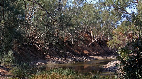 Australia's drought wilts support for government in rural heartlands Australia's drought wilts support for government in rural heartlands