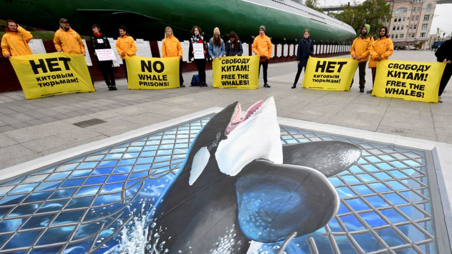 Russian plan to free whales risks their survival, say scientists