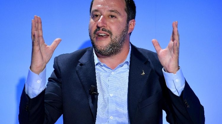 Sicurezza:Salvini, dl bis limato, pronto